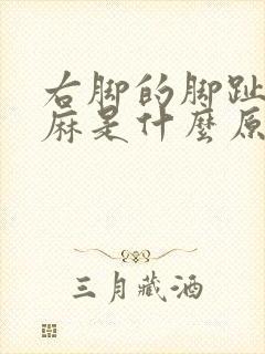 右脚的脚趾头发麻是什么原因