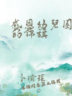 感恩幼儿园老师的锦旗