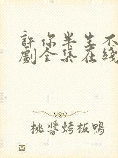 许你半生不见短剧全集在线观看