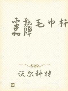 电热毛巾杆十大品牌