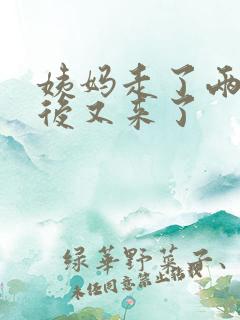 姨妈走了两天之后又来了