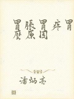 胃胀胃疼胃顶什么原因