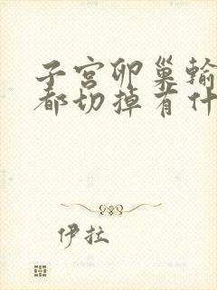 子宫卵巢输卵管都切掉有什么影响