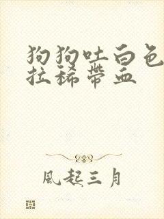 狗狗吐白色粘液拉稀带血