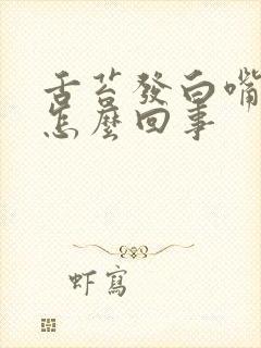 舌苔发白嘴巴苦怎么回事