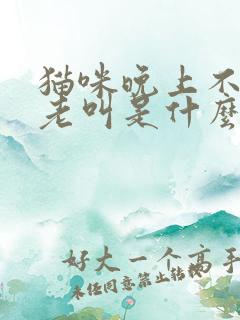 猫咪晚上不睡觉老叫是什么原因