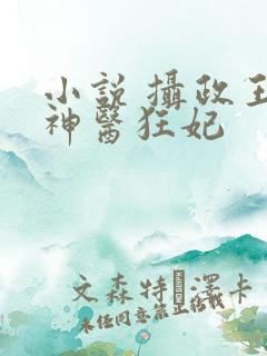 小说 摄政王的神医狂妃