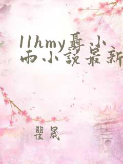 11hmy聂小雨小说最新章节更新时间