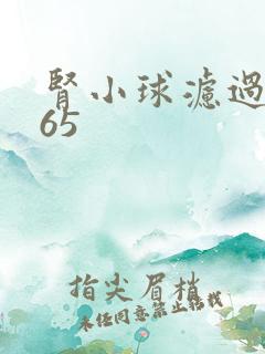 肾小球滤过率 65