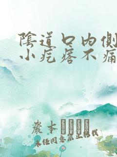 阴道口内侧有个小疙瘩不痛不痒