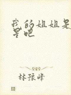 我的姐姐是大明星吧