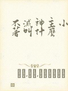 不灭神主小说原著叫什么