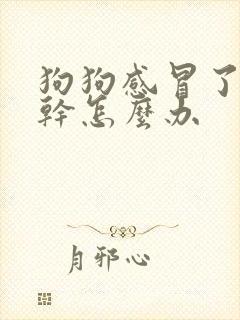 狗狗感冒了鼻子干怎么办