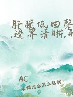 肝脏低回声结节,边界清晰,形态规则