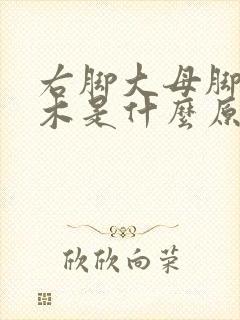 右脚大母脚趾麻木是什么原因引起的怎么治疗