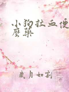 小狗拉血便用什么药