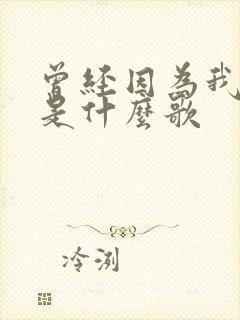 曾经因为我的家是什么歌