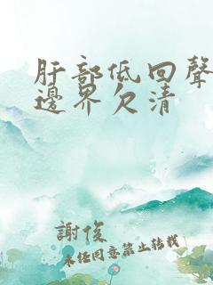 肝部低回声结节边界欠清