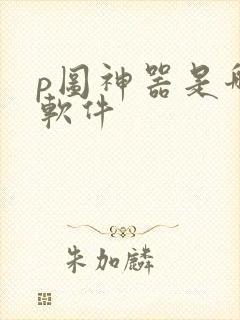 p图神器是哪个软件