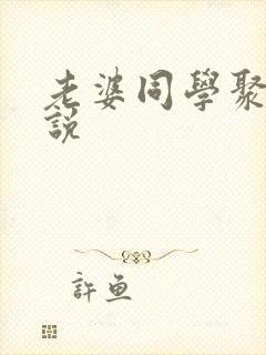 老婆同学聚会小说