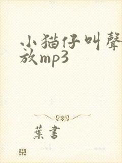 小猫仔叫声音播放mp3