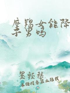 摩羯女能降服双子男吗