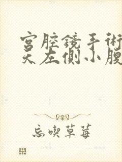 宫腔镜手术20天左侧小腹抽痛