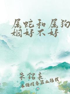 属蛇和属狗的婚姻好不好