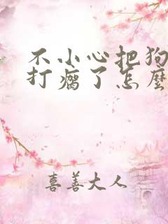 不小心把狗狗腿打瘸了怎么办