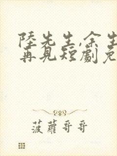 陆先生,余生不再见短剧免费观看