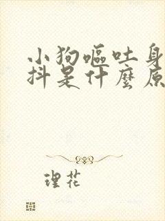 小狗呕吐身体发抖是什么原因