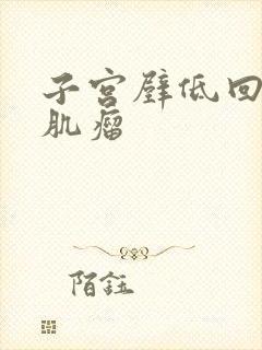 子宫壁低回声小肌瘤