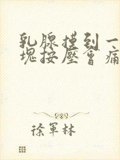 乳腺摸到一个硬块按压会痛