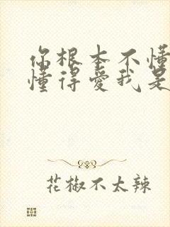 你根本不懂得不懂得爱我是什么歌