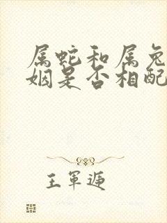 属蛇和属兔的婚姻是否相配