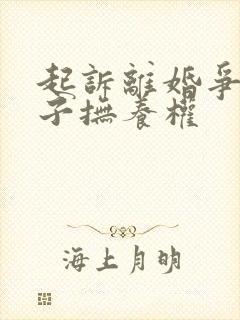 起诉离婚争取孩子抚养权