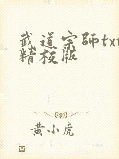 武道宗师txt精校版