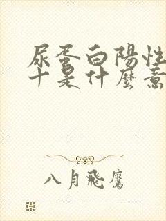 尿蛋白阳性4个十是什么意思