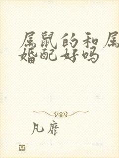 属鼠的和属蛇的婚配好吗