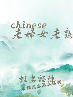 chinese老妇女老熟妇hd