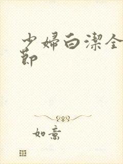 少妇白洁全文章节