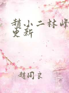 赵小二林峰最快更新