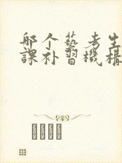 哪个艺考生文化课补习机构好