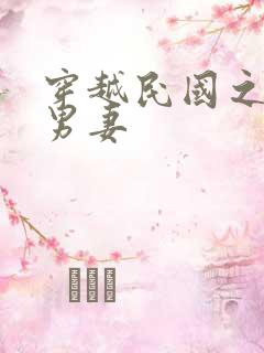 穿越民国之少帅男妻