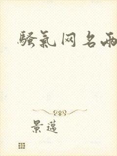 骚气网名两个字