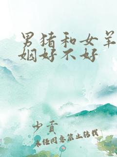 男猪和女羊配婚姻好不好