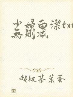 少妇白洁txt无删减