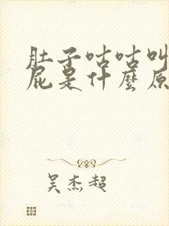 肚子咕咕叫放响屁是什么原因