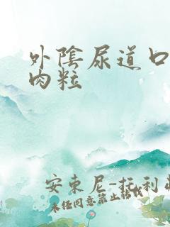 外阴尿道口长小肉粒