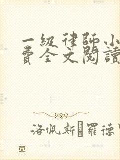 一级律师小说免费全文阅读